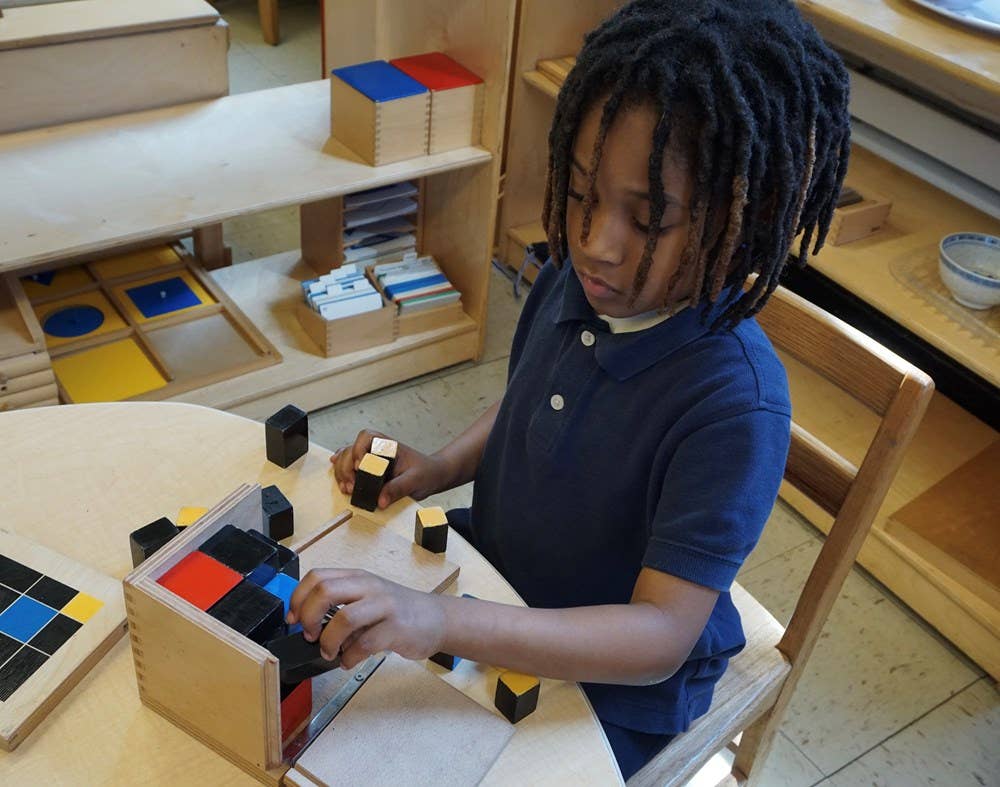 Montessori Potential