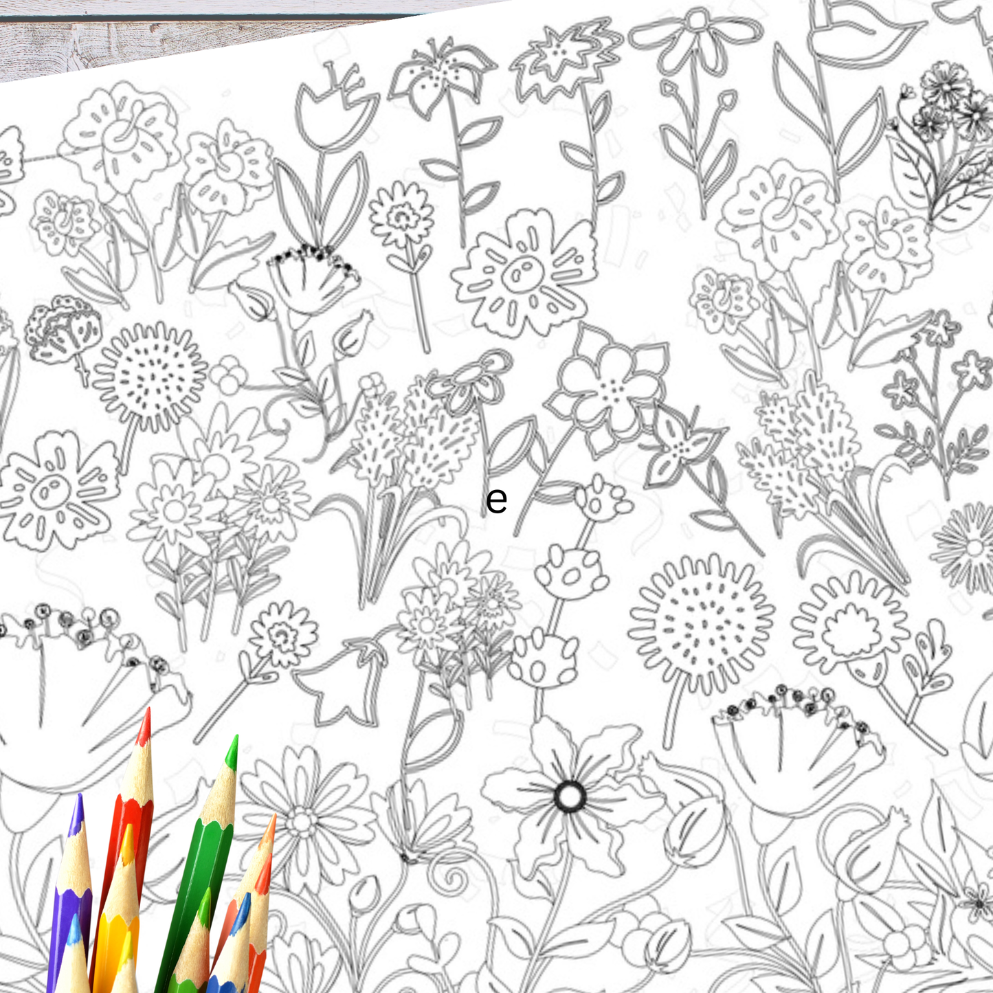 Wildflower Coloring Tablecloth | Botanical Coloring Sheet