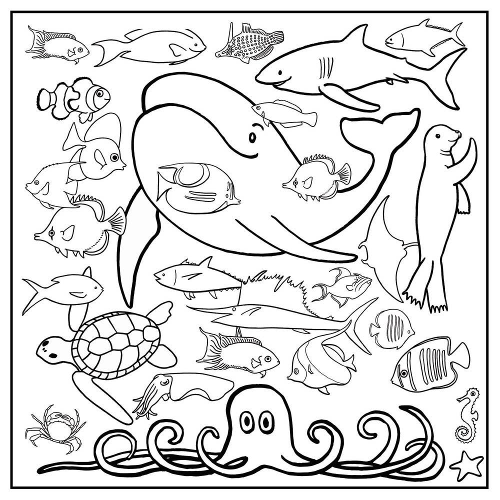 In the Ocean Activity Pack