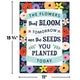 Wildflowers Positive Sayings Small Poster Pack