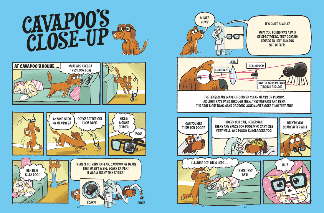 Dogs Do Science: Light
