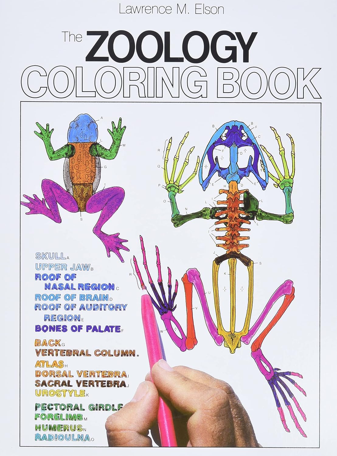 The Zoology Coloring Book Paperback