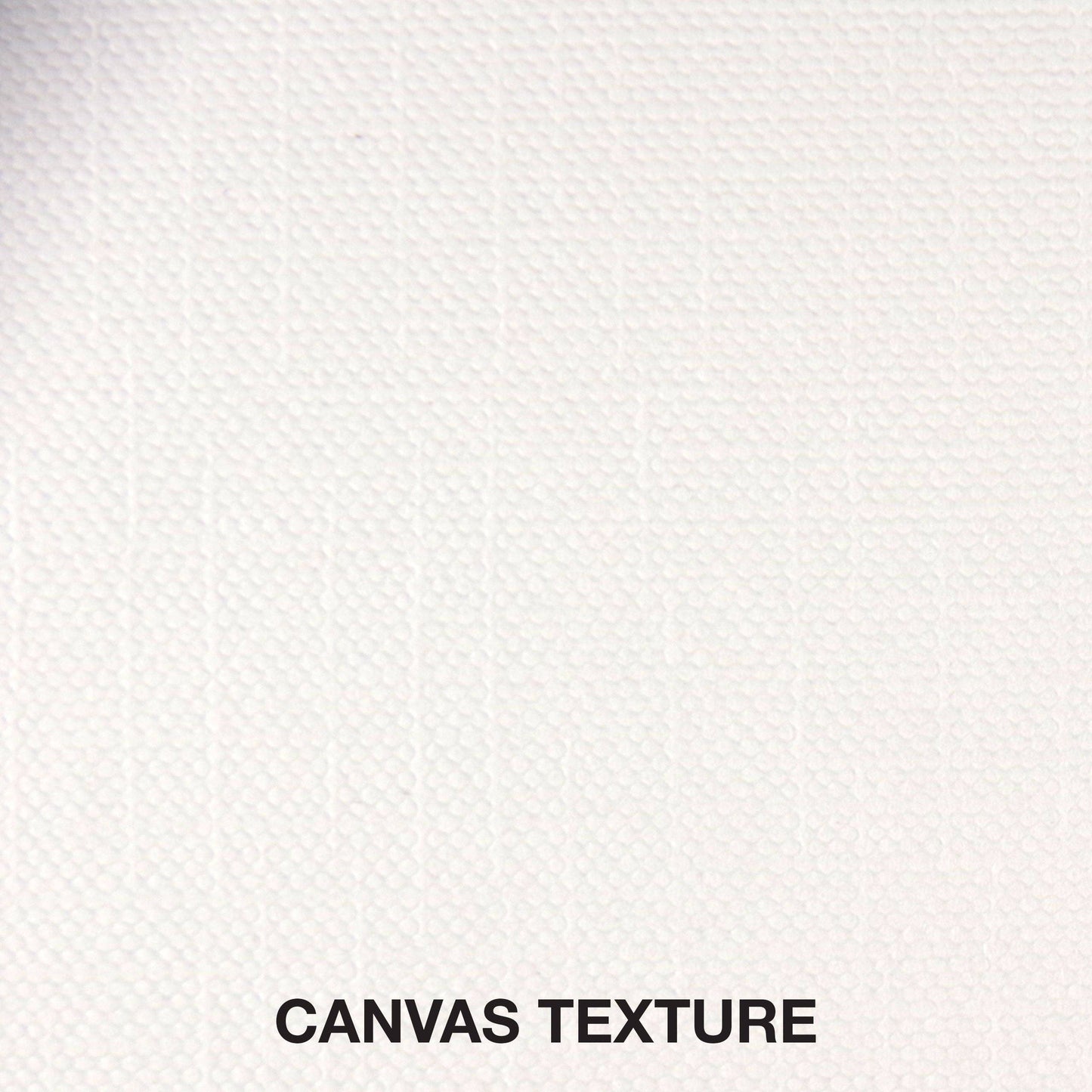 Peter Pauper Press - Studio Series Canvas Paper Pad (10 sheets)