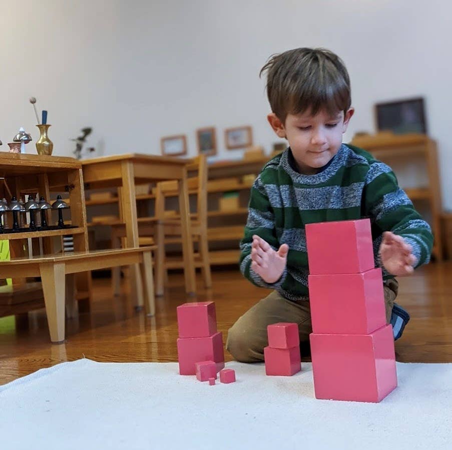 Montessori Potential
