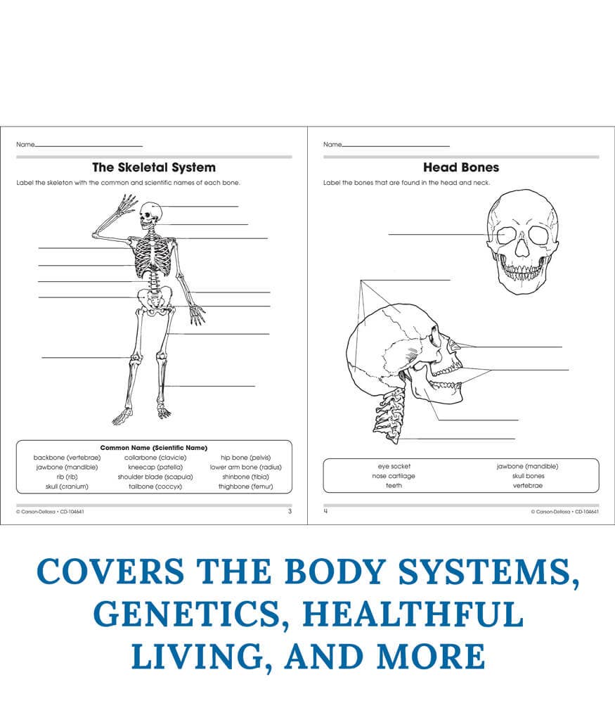 Carson Dellosa Education - Human Body