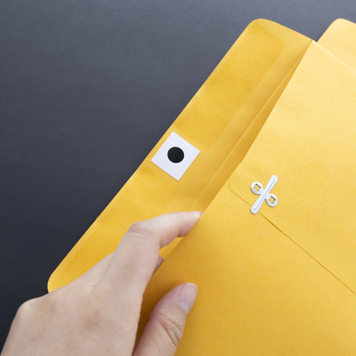 Clasp Envelope 10" X 13" (3/Pack)