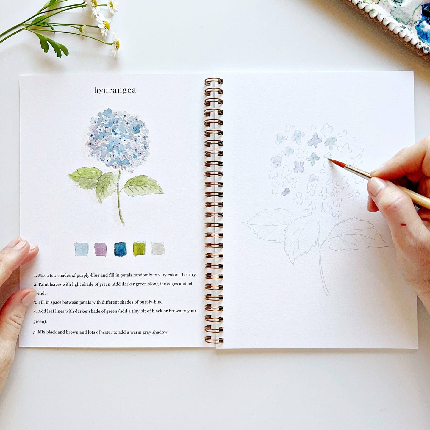 Emily Lex Studio Watercolor Workbook "Flowers"
