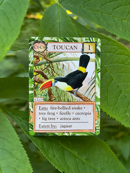 Ecologies: Hidden Habitats Card Game