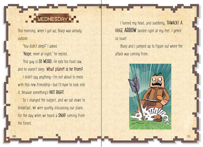 Noob's Diary of an 8-Bit Warrior Box Set by Cube Kid: Paperback; 288 pages / English