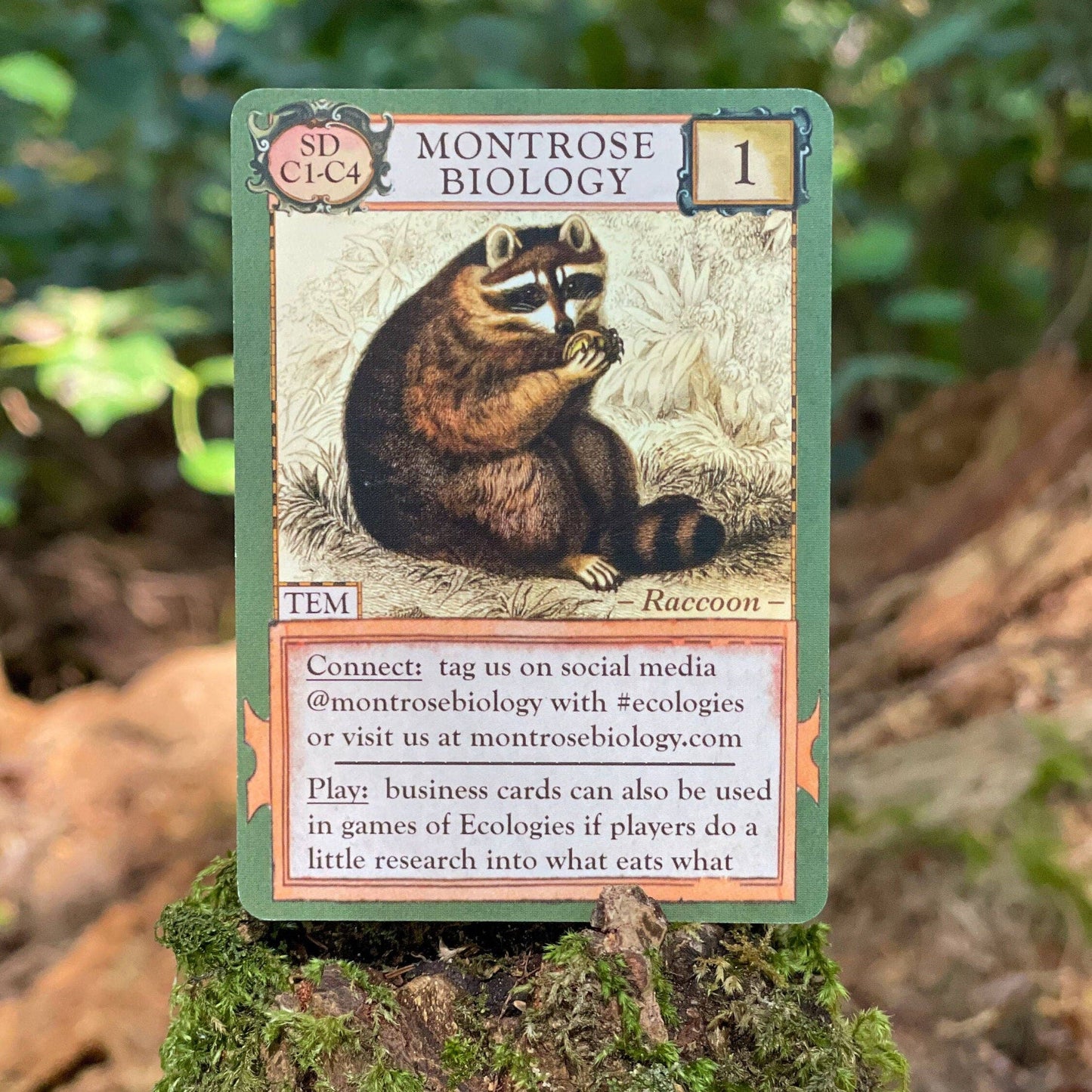 Ecologies Ultimate Educator Collection