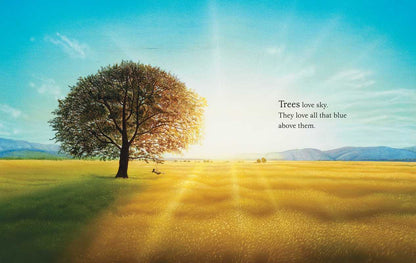 Simon & Schuster - Trees by Tony   Johnston: Hardcover; 40 pages / English