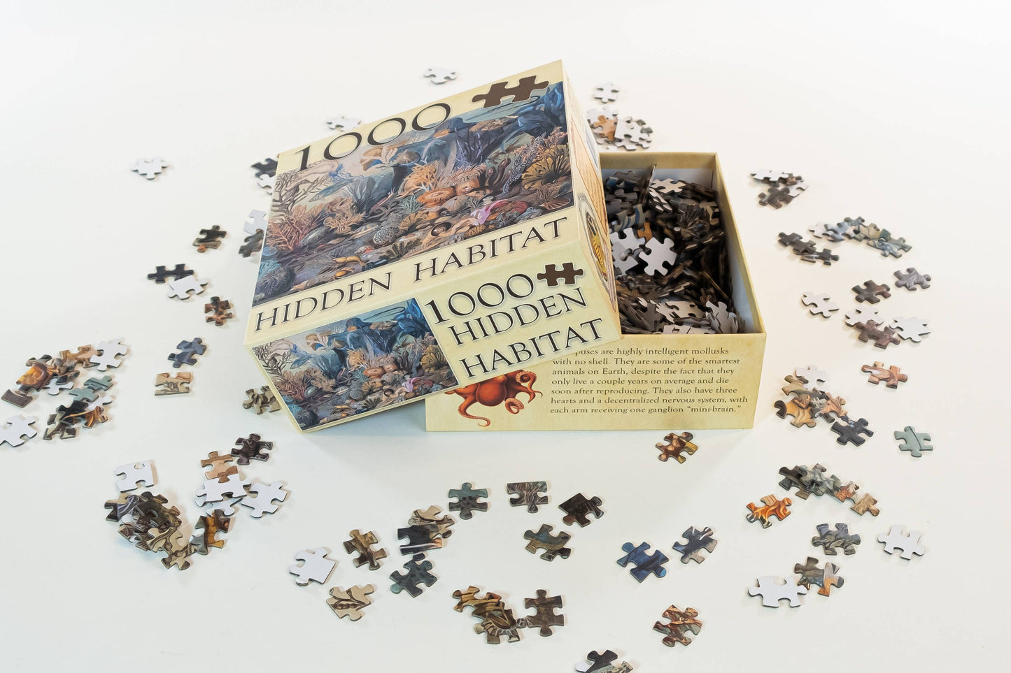 Ecologies Ocean Life Puzzle - Hidden Habitat