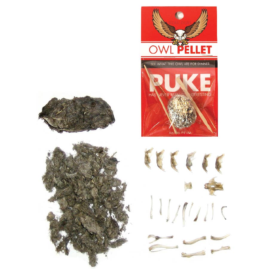 Single Owl Pellet | Compact Curiosities Dissection Kit Science Demo
