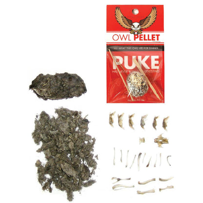 Single Owl Pellet | Compact Curiosities Dissection Kit Science Demo