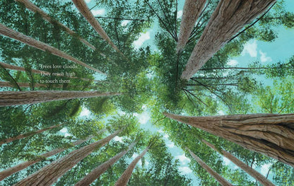 Simon & Schuster - Trees by Tony   Johnston: Hardcover; 40 pages / English