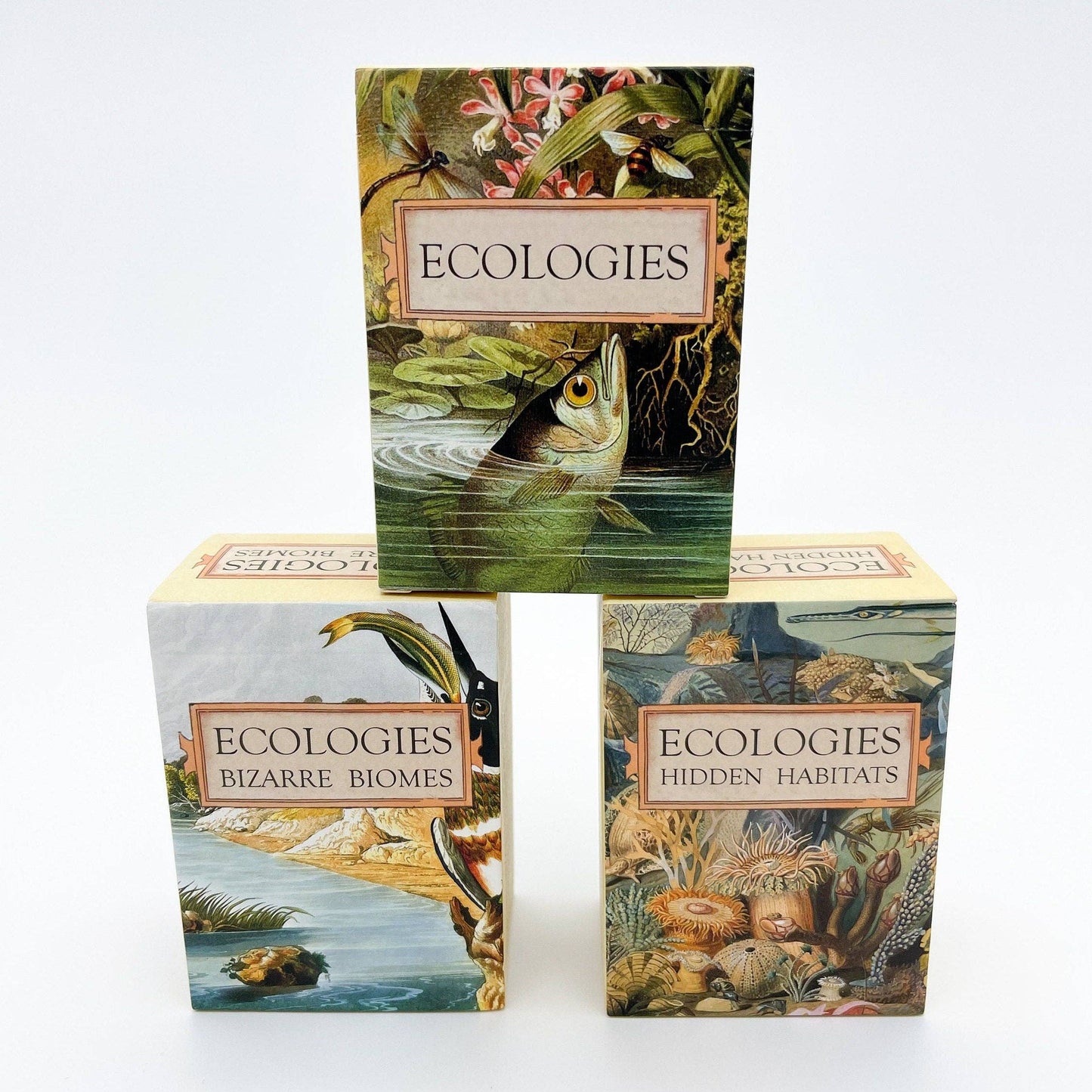 Ecologies Ultimate Educator Collection