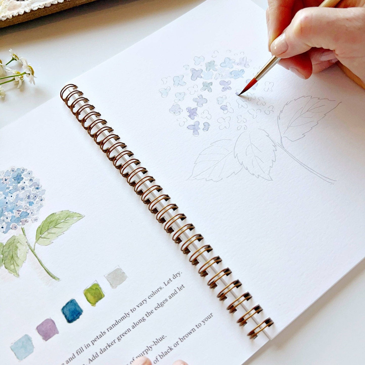 Emily Lex Studio Watercolor Workbook "Flowers"