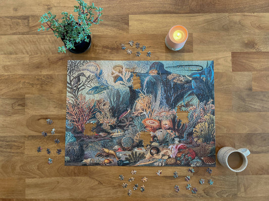 Ecologies Ocean Life Puzzle - Hidden Habitat