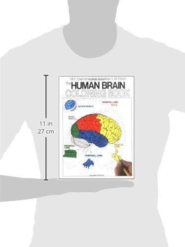 The Human Brain Coloring Book: A Coloring Book (Coloring Concepts) Paperback