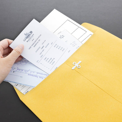 Clasp Envelope 10" X 13" (3/Pack)