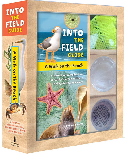 Walk on the Beach by Laurie Goldman: Novelty; 112 pages / English