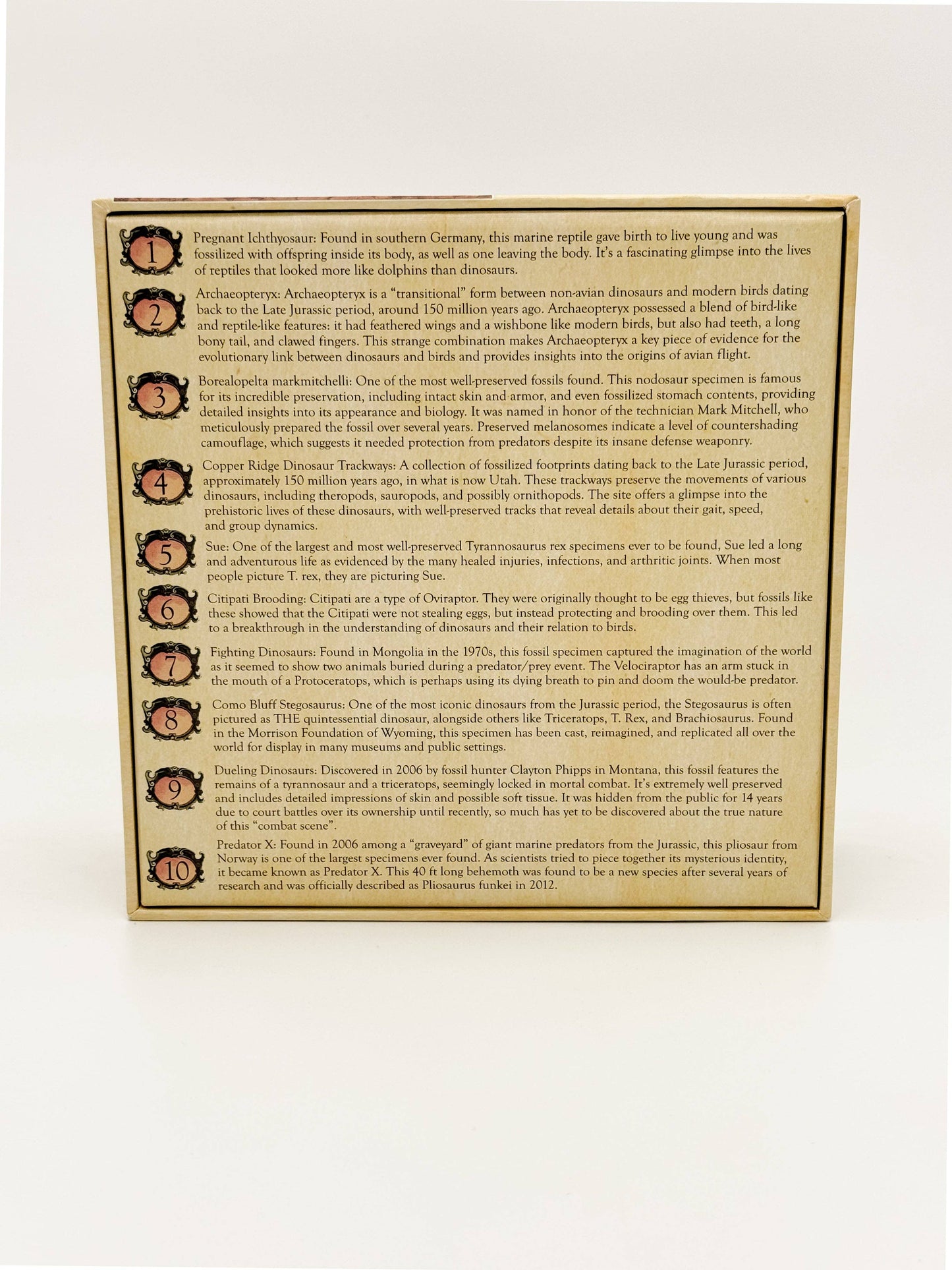 "Famous Fossils" Paleontology Puzzle (1k)