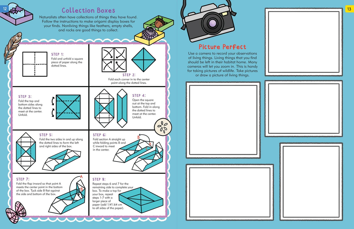 Peter Pauper Press - The Nature Explorer's Activity Book