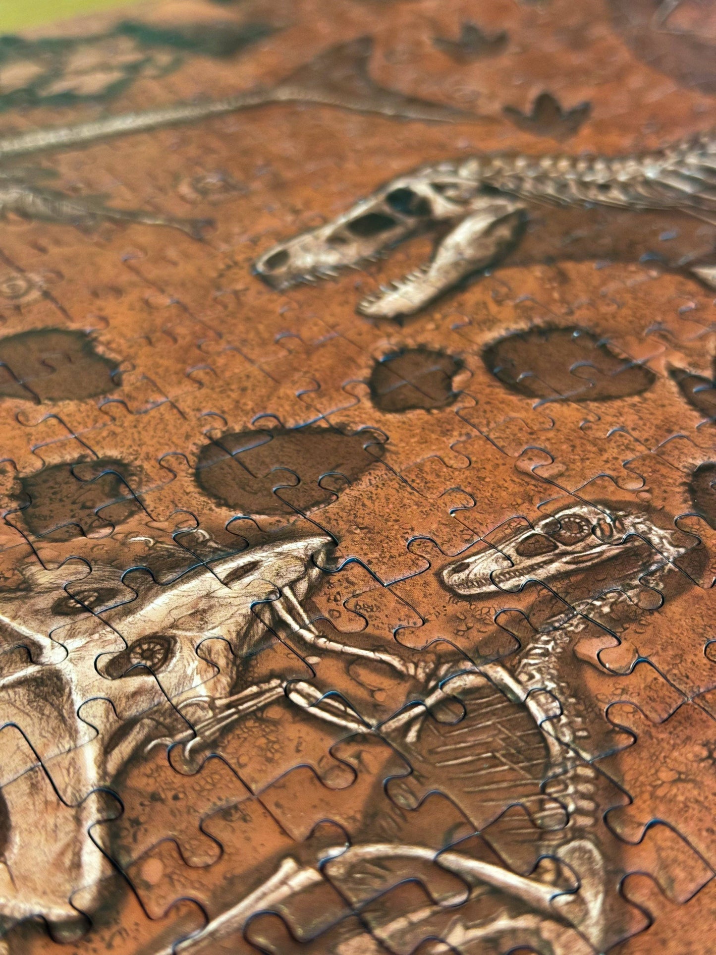 "Famous Fossils" Paleontology Puzzle (1k)
