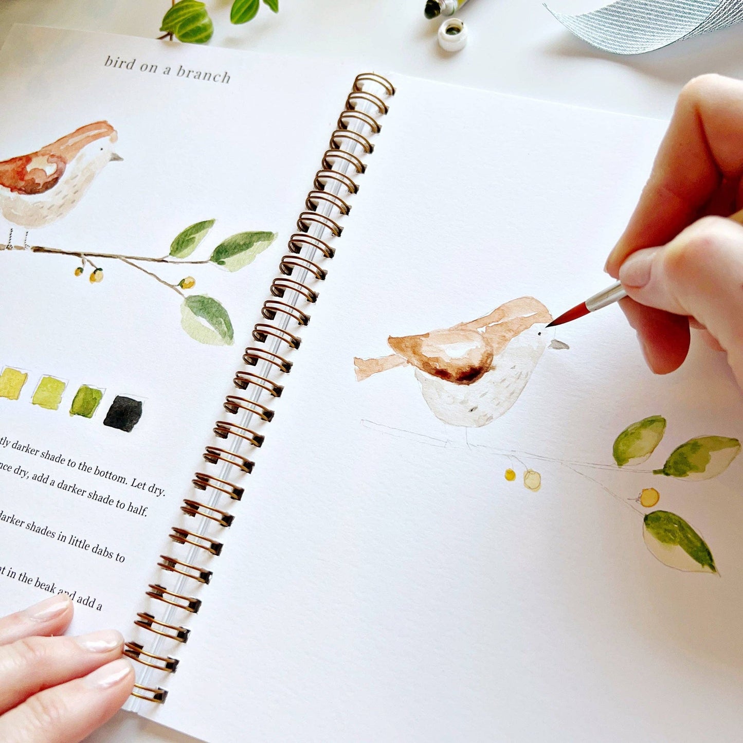 Emily Lex Studio Watercolor Workbook "Animals"