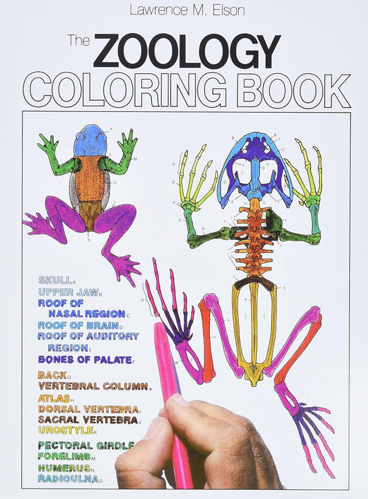 The Zoology Coloring Book Paperback