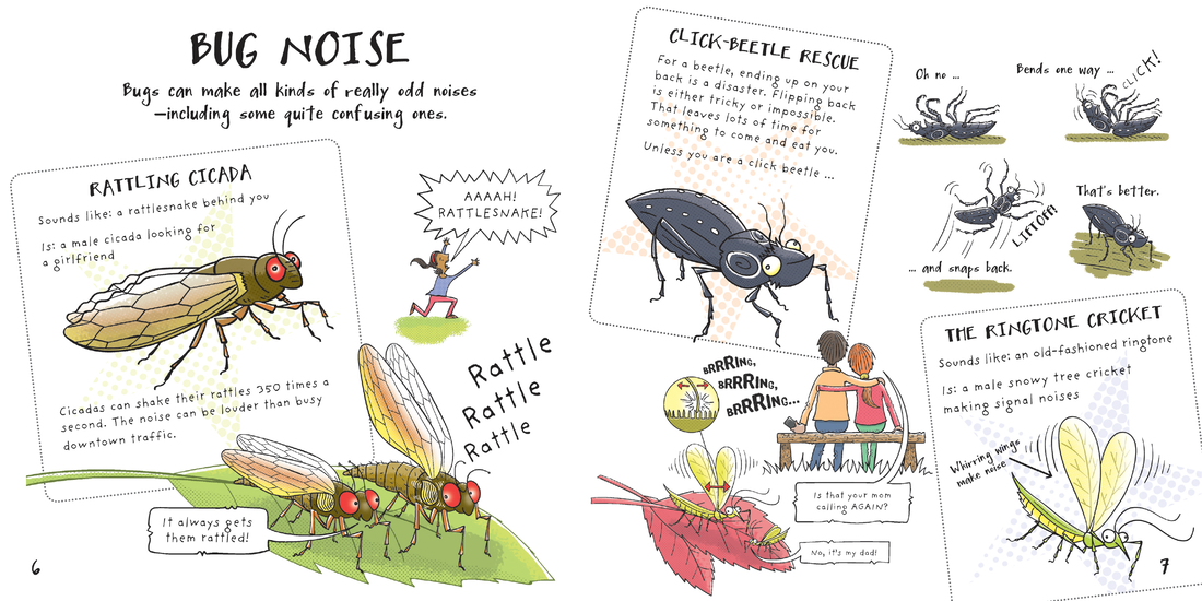 EDC Publishing - Funny Bugs