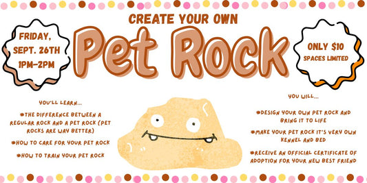 Create Your Own Pet Rock