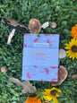Sweet Little Mushroom Journal