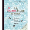 The Fourth Phase of Water: Beyond Solid, Liquid, and Vapor