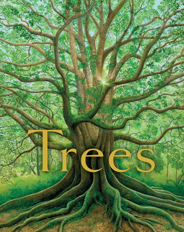 Simon & Schuster - Trees by Tony   Johnston: Hardcover; 40 pages / English