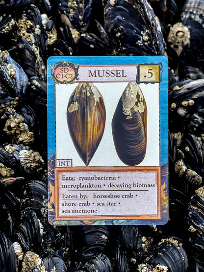 Ecologies: Hidden Habitats Card Game