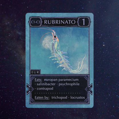 Ecologies: Solar System