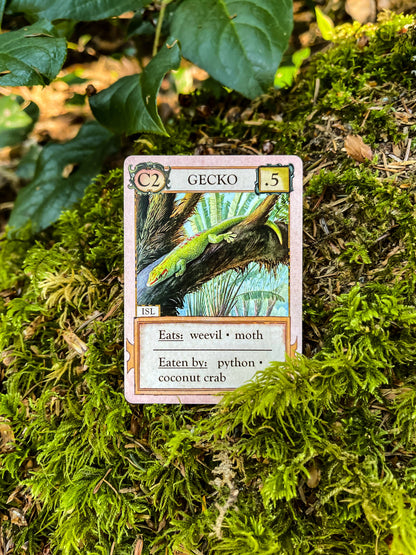Ecologies: Hidden Habitats Card Game