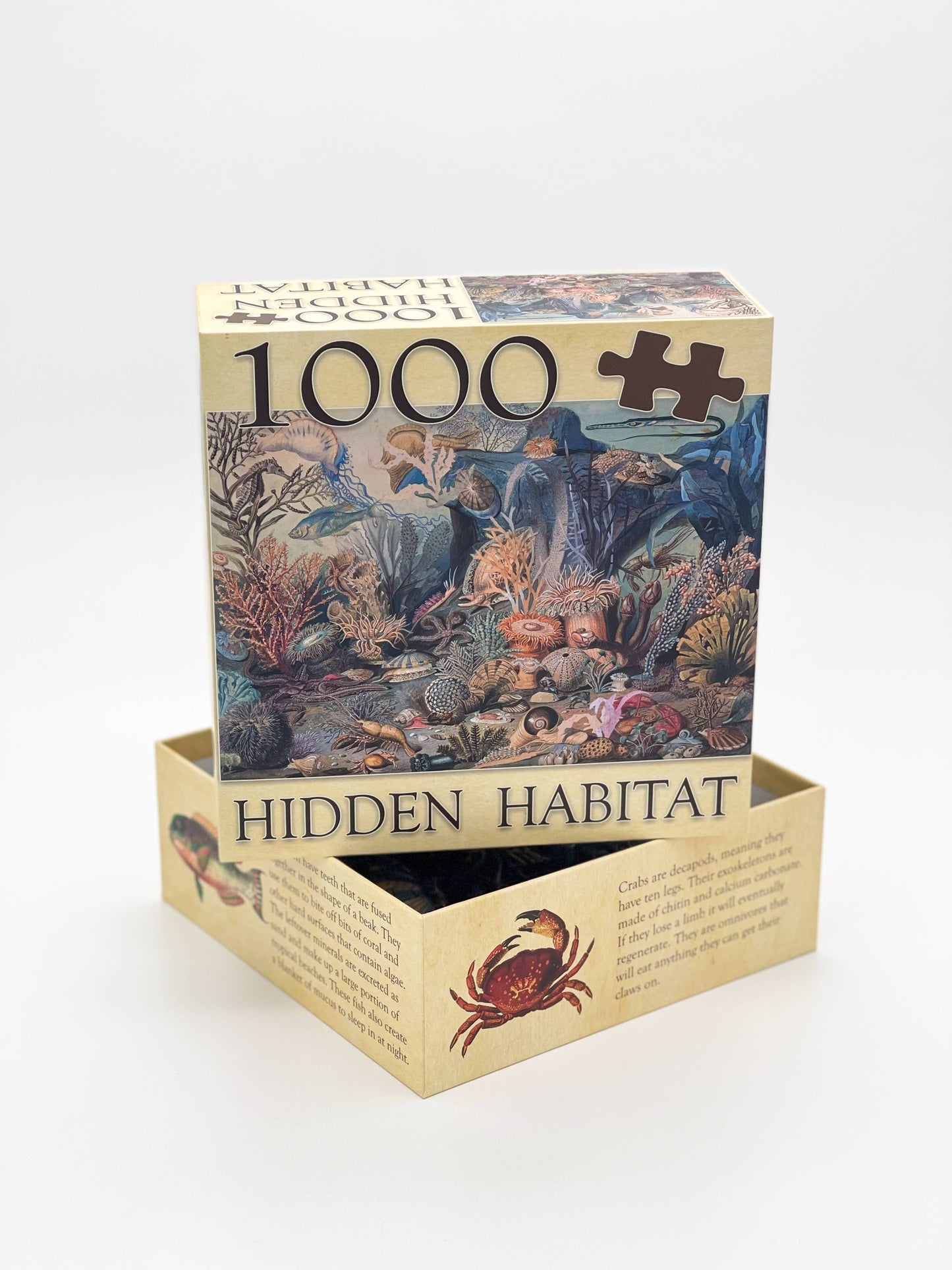 Ecologies Ocean Life Puzzle - Hidden Habitat
