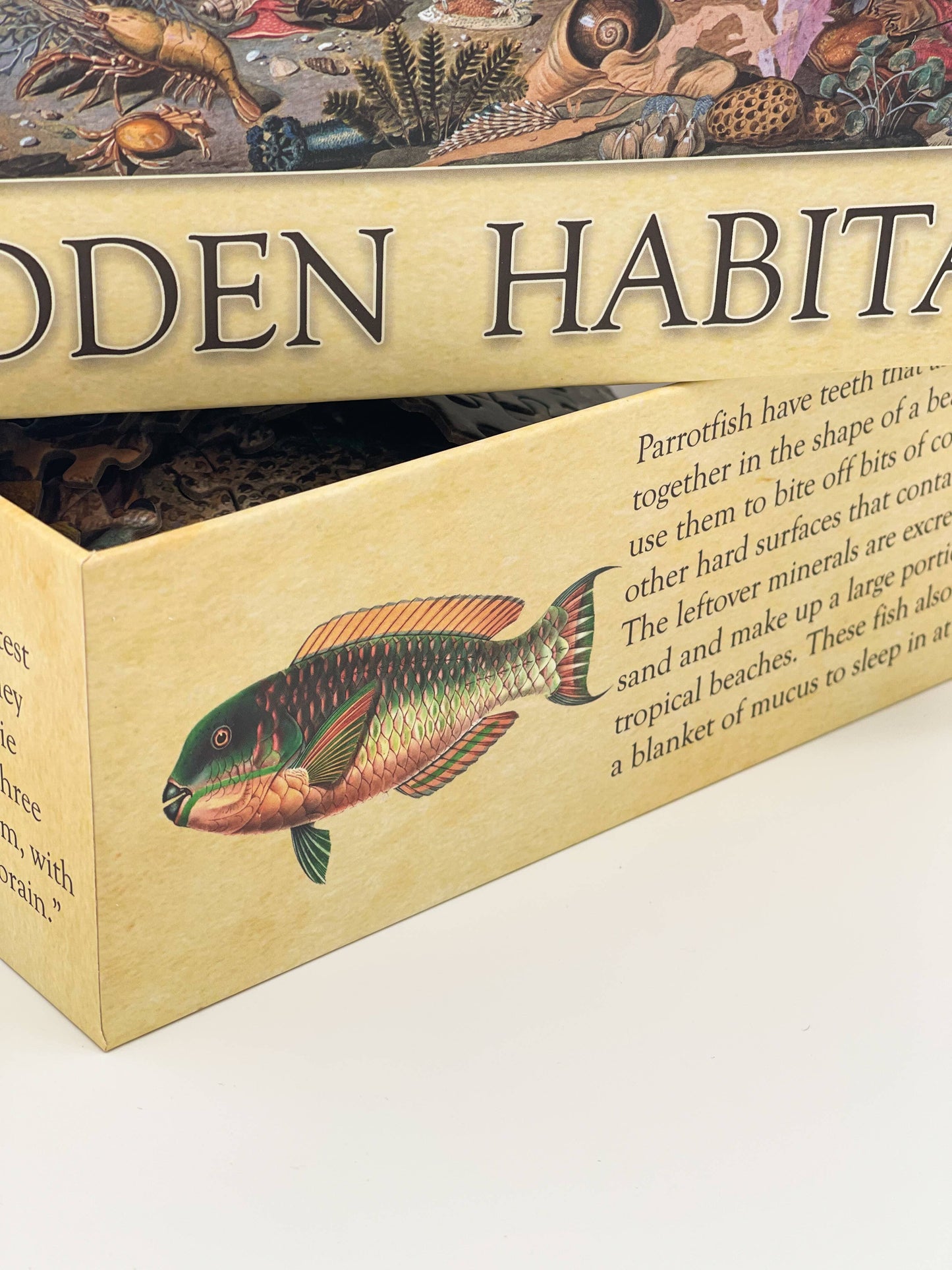 Ecologies Ocean Life Puzzle - Hidden Habitat