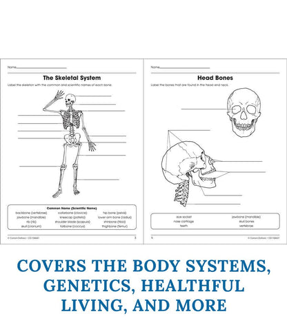 Carson Dellosa Education - Human Body