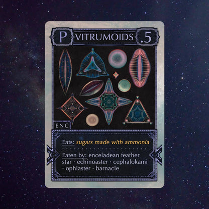 Ecologies: Solar System