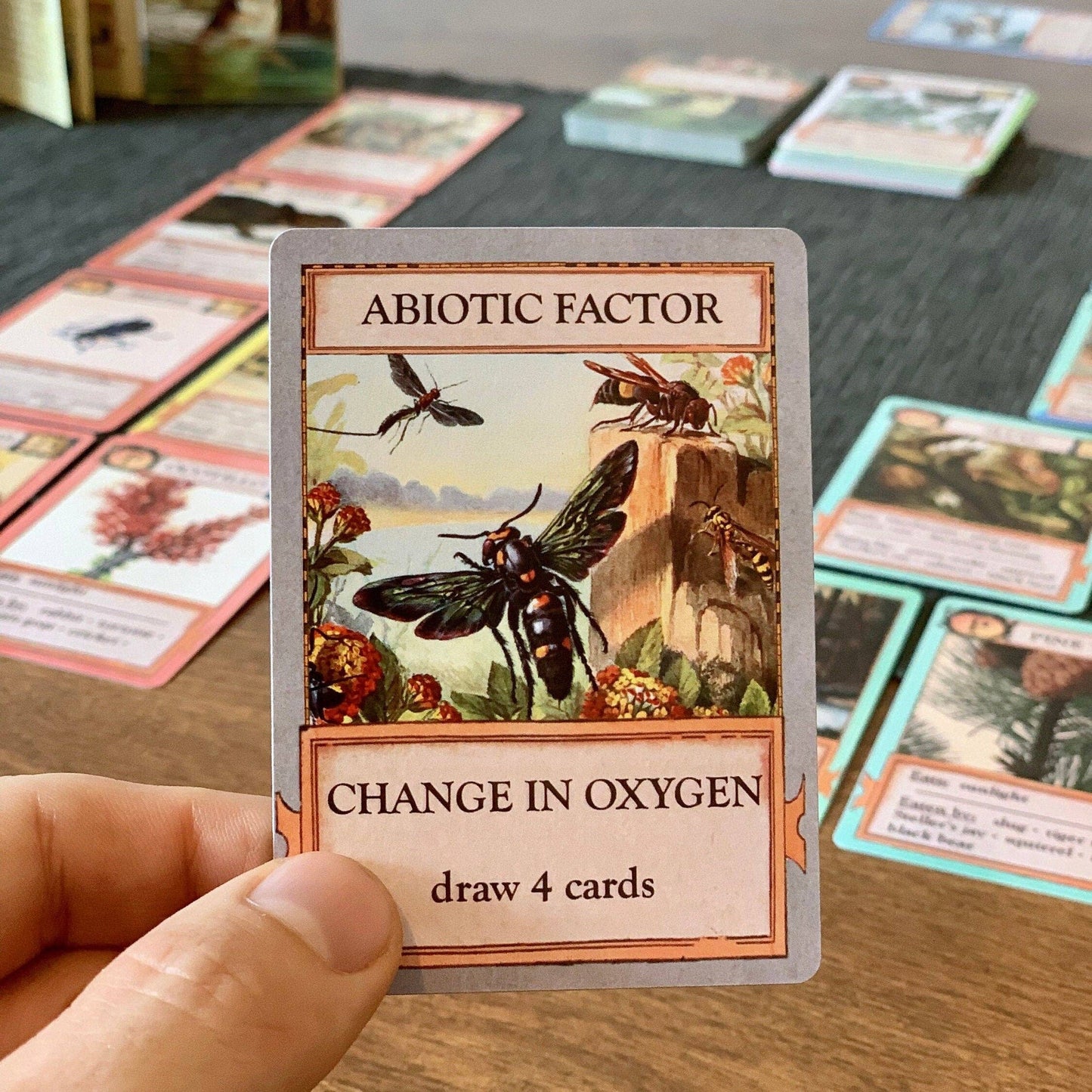 Ecologies Ultimate Educator Collection