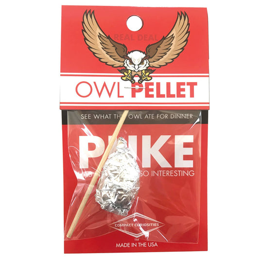 Single Owl Pellet | Compact Curiosities Dissection Kit Science Demo